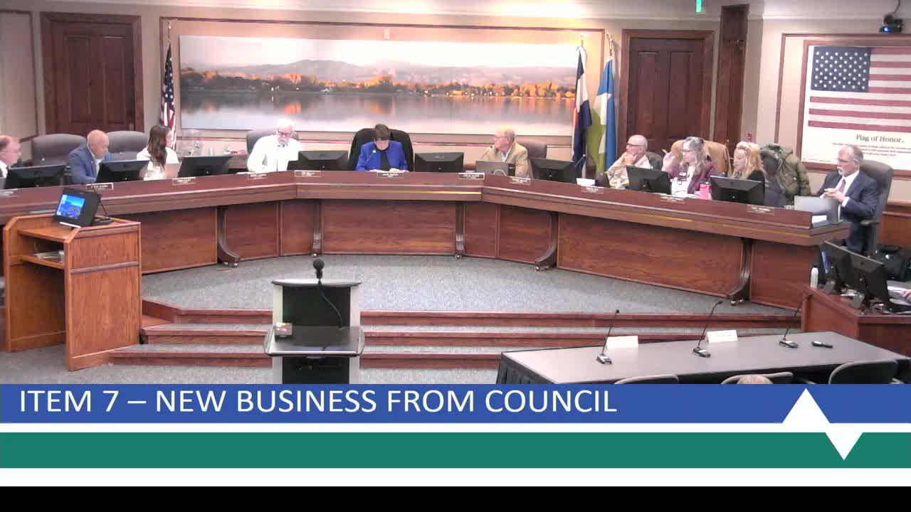 City Council Meeting - November 21, 2023